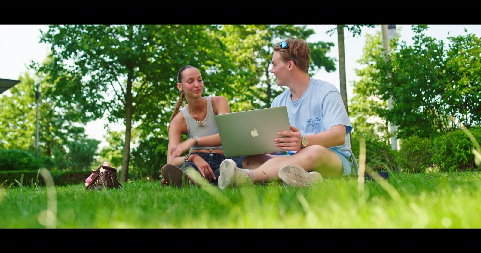 Stel met laptop op het gras