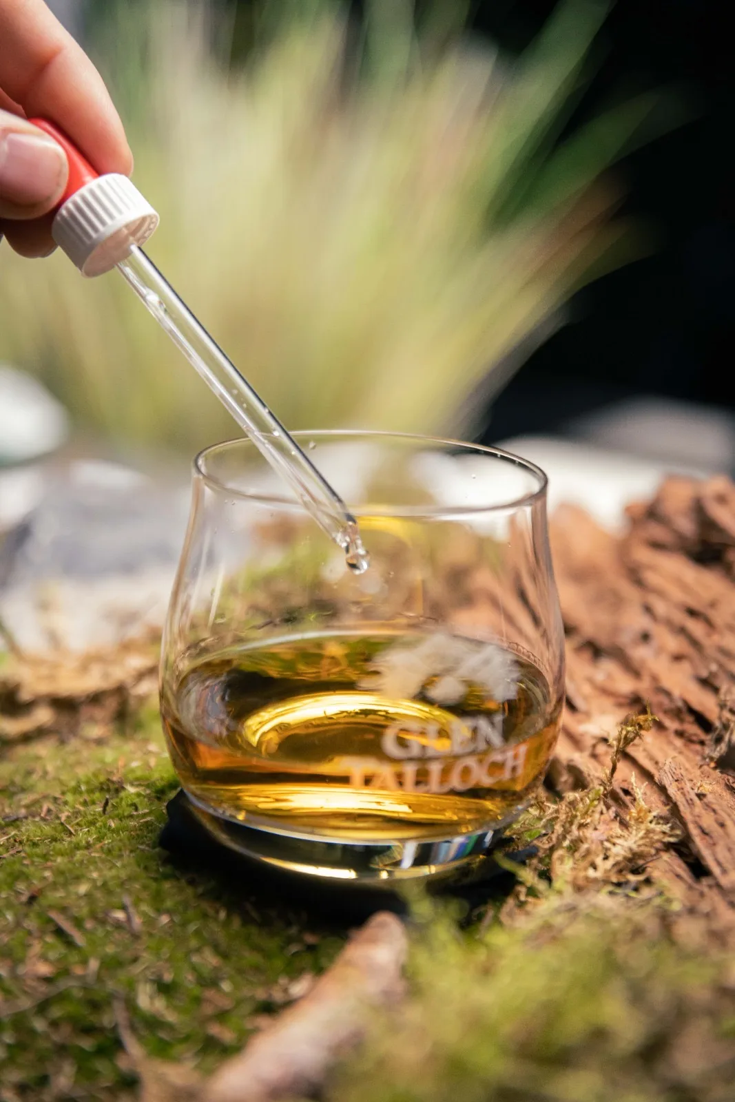 Macro-shot: een pipet voegt een druppel water toe aan een glas Glen Talloch op een houten boomstam