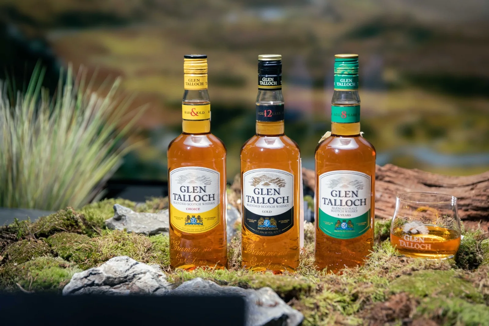 Glen Talloch case study