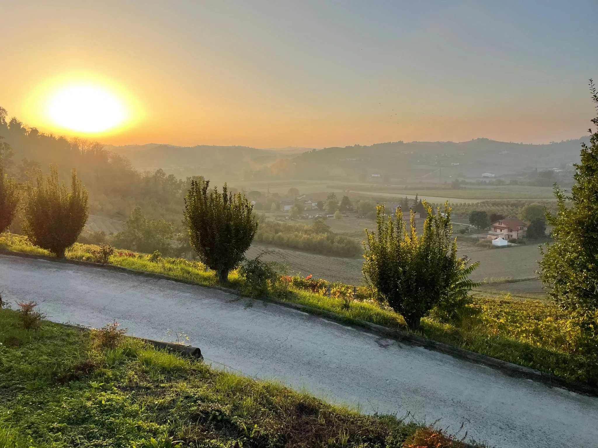 Zonsopkomst boven de heuvels van Piemonte · ochtendmist over de wijngaarden