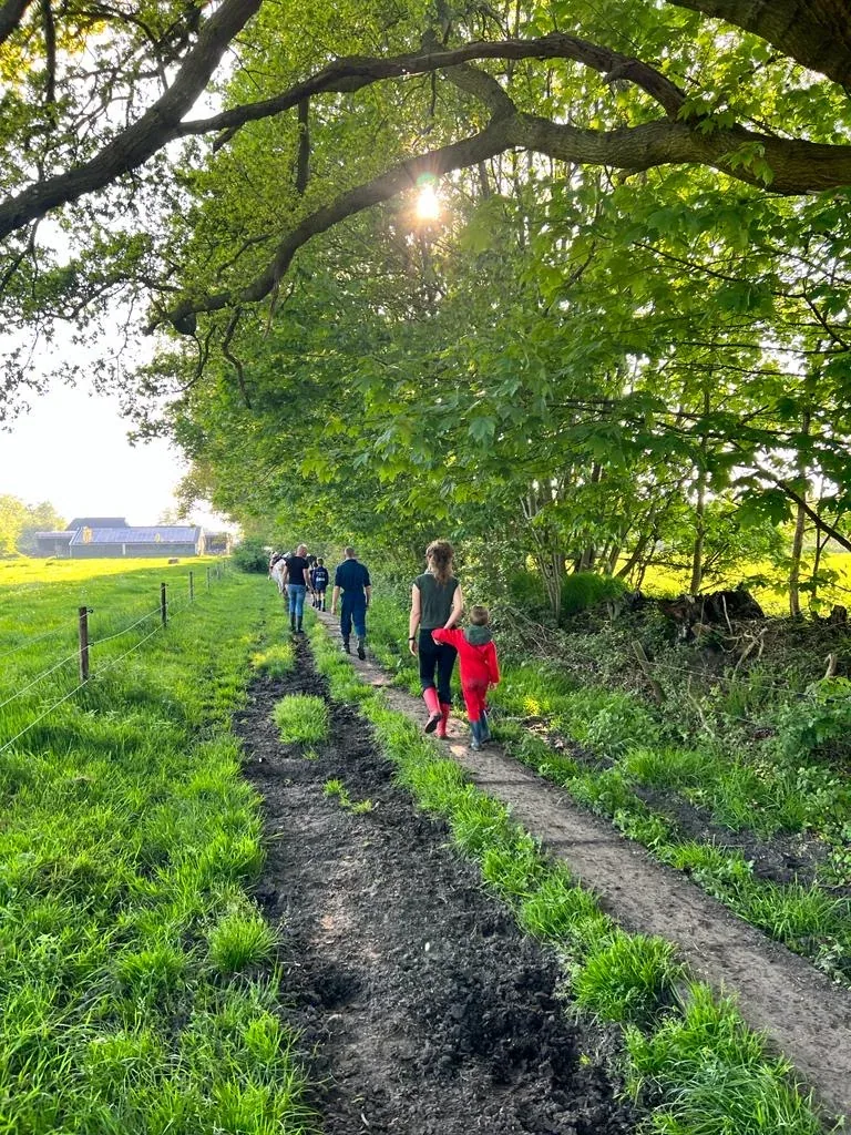 Wandeling door een laan in gouden licht